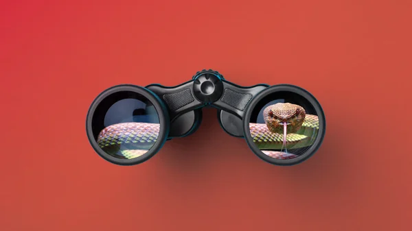 Reputation at Risk: The Case for Ethical Vendor Oversight
